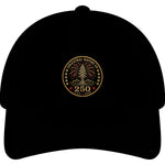 4th of July - 250-year Anniversary - Coastal Washed Cap — Vintage 'Ancestral Nature Co. 250' Embroidered Baseball Hat